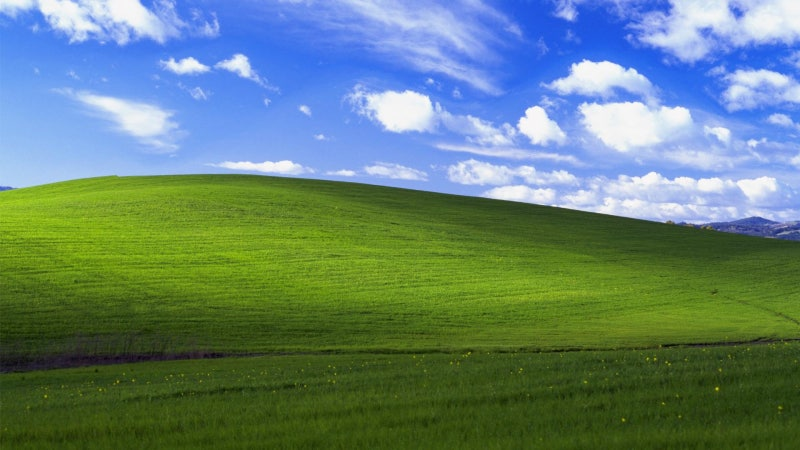 Windows XP Bliss wallpaper